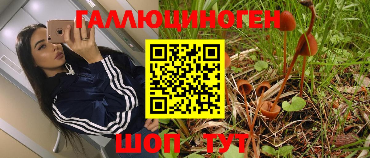 Тихвин  где продают наркотики  Вход с VPN  Галлюциногенные грибы Magic Shrooms 